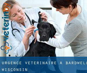 Urgence vétérinaire à Bardwell (Wisconsin)