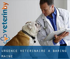 Urgence vétérinaire à Baring (Maine)