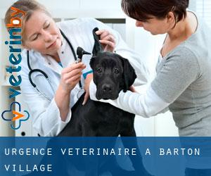 Urgence vétérinaire à Barton Village