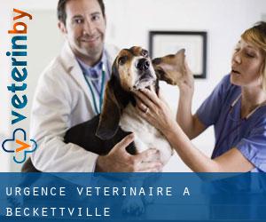 Urgence vétérinaire à Beckettville
