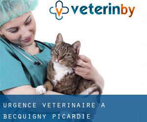 Urgence vétérinaire à Becquigny (Picardie)