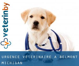 Urgence vétérinaire à Belmont (Michigan)