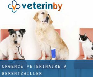 Urgence vétérinaire à Berentzwiller