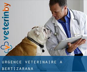Urgence vétérinaire à Bertizarana