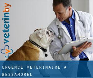 Urgence vétérinaire à Bessamorel