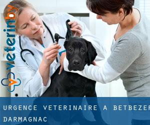 Urgence vétérinaire à Betbezer-d'Armagnac
