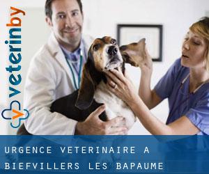 Urgence vétérinaire à Biefvillers-lès-Bapaume