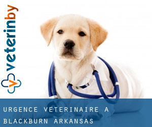 Urgence vétérinaire à Blackburn (Arkansas)