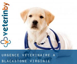 Urgence vétérinaire à Blackstone (Virginie)