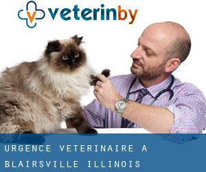 Urgence vétérinaire à Blairsville (Illinois)