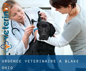Urgence vétérinaire à Blake (Ohio)