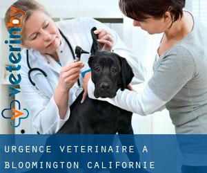 Urgence vétérinaire à Bloomington (Californie)