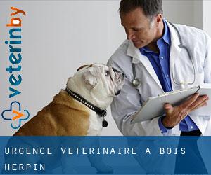 Urgence vétérinaire à Bois-Herpin