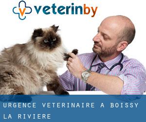 Urgence vétérinaire à Boissy-la-Rivière