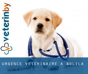 Urgence vétérinaire à Bolila