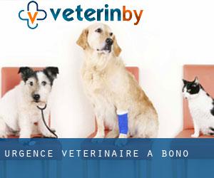 Urgence vétérinaire à Bono
