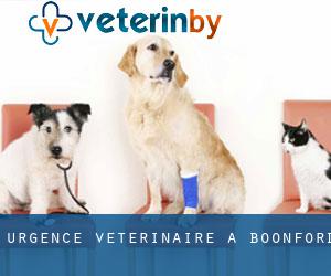 Urgence vétérinaire à Boonford