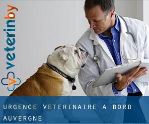 Urgence vétérinaire à Bord (Auvergne)