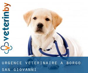Urgence vétérinaire à Borgo San Giovanni