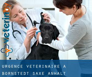 Urgence vétérinaire à Bornstedt (Saxe-Anhalt)