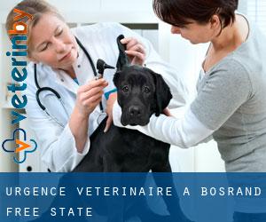 Urgence vétérinaire à Bosrand (Free State)