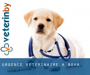 Urgence vétérinaire à Bova