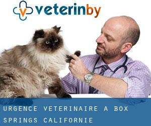 Urgence vétérinaire à Box Springs (Californie)