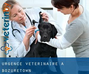 Urgence vétérinaire à Bozuretown