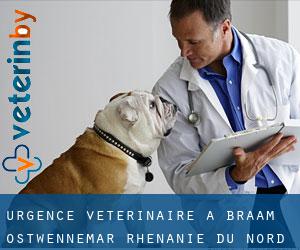 Urgence vétérinaire à Braam-Ostwennemar (Rhénanie du Nord-Westphalie)