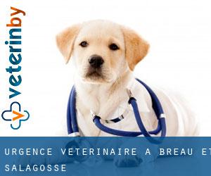 Urgence vétérinaire à Bréau-et-Salagosse