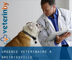 Urgence vétérinaire à Breinigsville