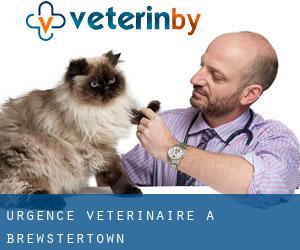 Urgence vétérinaire à Brewstertown