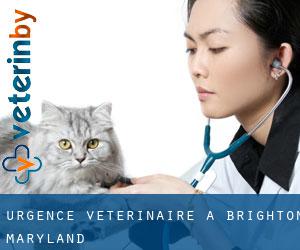 Urgence vétérinaire à Brighton (Maryland)