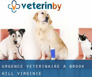 Urgence vétérinaire à Brook Hill (Virginie)
