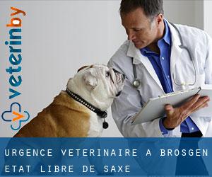 Urgence vétérinaire à Brösgen (État libre de Saxe)