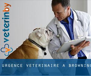 Urgence vétérinaire à Browning