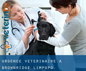 Urgence vétérinaire à Brownridge (Limpopo)