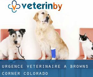Urgence vétérinaire à Browns Corner (Colorado)