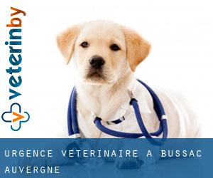 Urgence vétérinaire à Bussac (Auvergne)