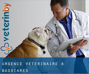 Urgence vétérinaire à Bussiares