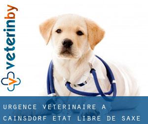 Urgence vétérinaire à Cainsdorf (État libre de Saxe)