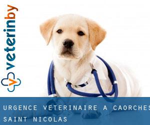 Urgence vétérinaire à Caorches-Saint-Nicolas