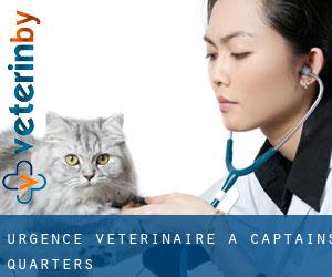 Urgence vétérinaire à Captains Quarters
