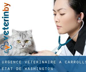 Urgence vétérinaire à Carrolls (État de Washington)