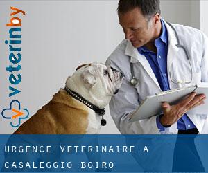 Urgence vétérinaire à Casaleggio Boiro