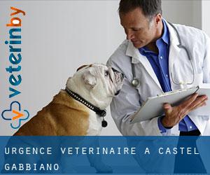 Urgence vétérinaire à Castel Gabbiano
