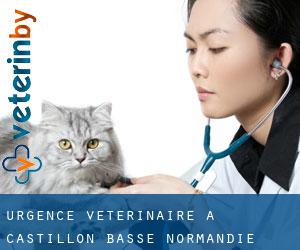 Urgence vétérinaire à Castillon (Basse-Normandie)