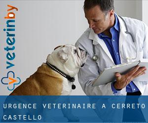 Urgence vétérinaire à Cerreto Castello