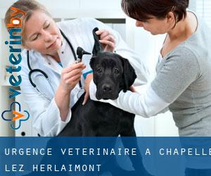 Urgence vétérinaire à Chapelle-lez-Herlaimont