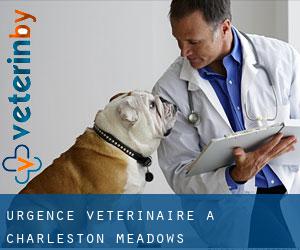 Urgence vétérinaire à Charleston Meadows